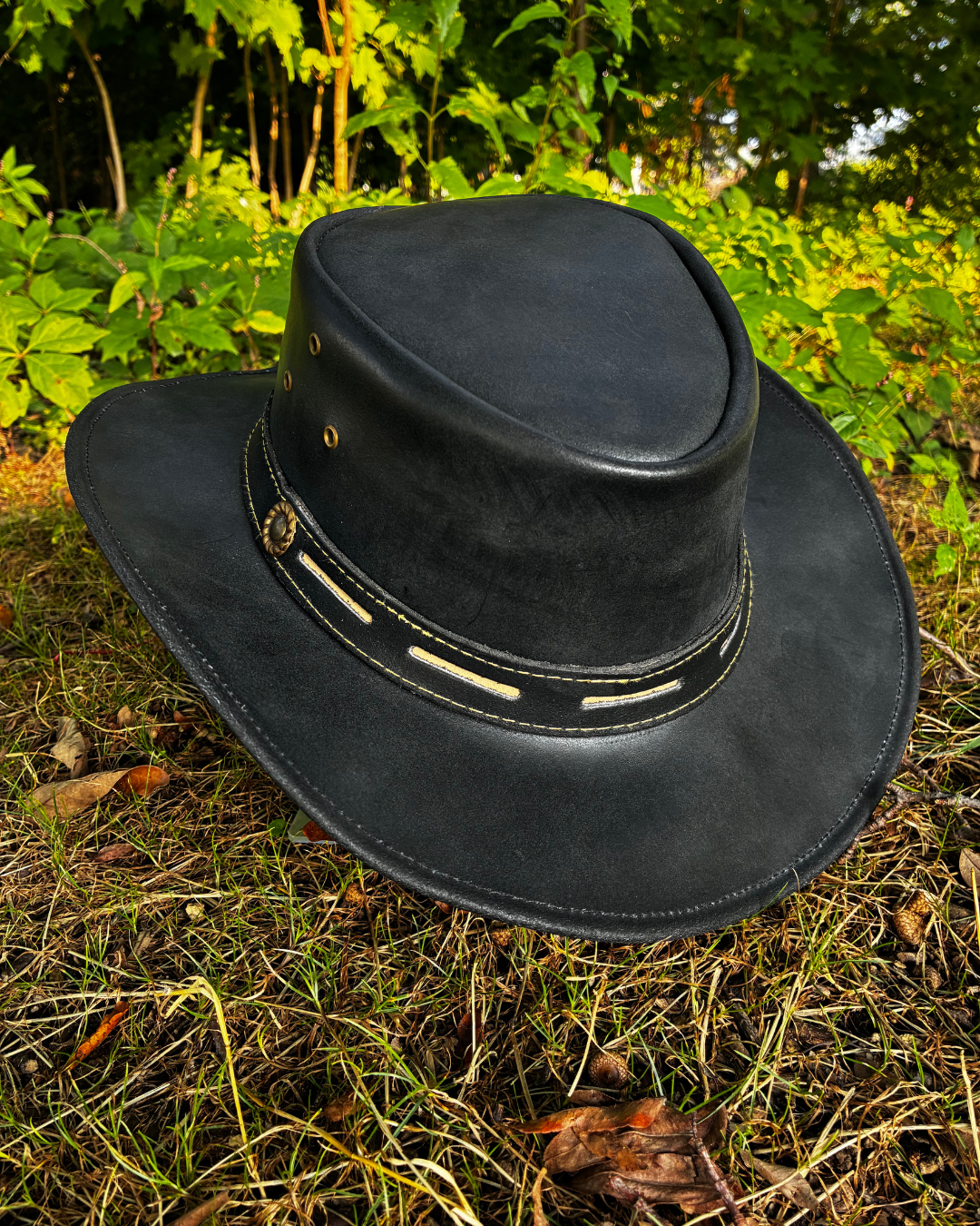 Next Collection